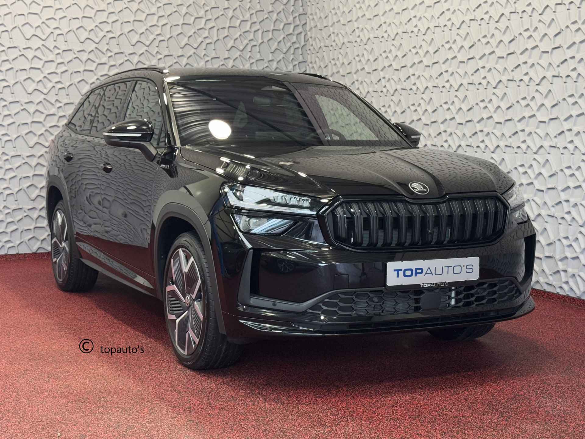 Škoda Kodiaq BOVAG 40-Puntencheck