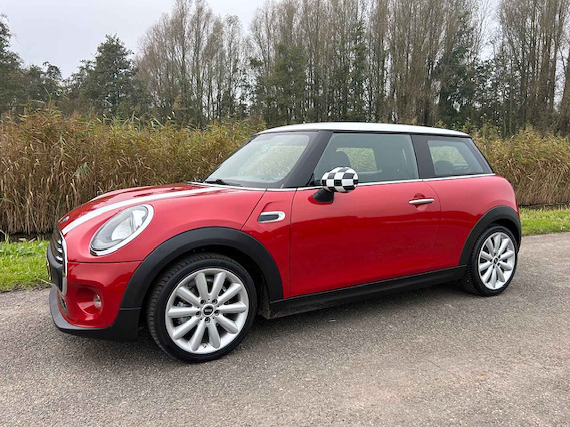 Mini Cooper BOVAG 40-Puntencheck