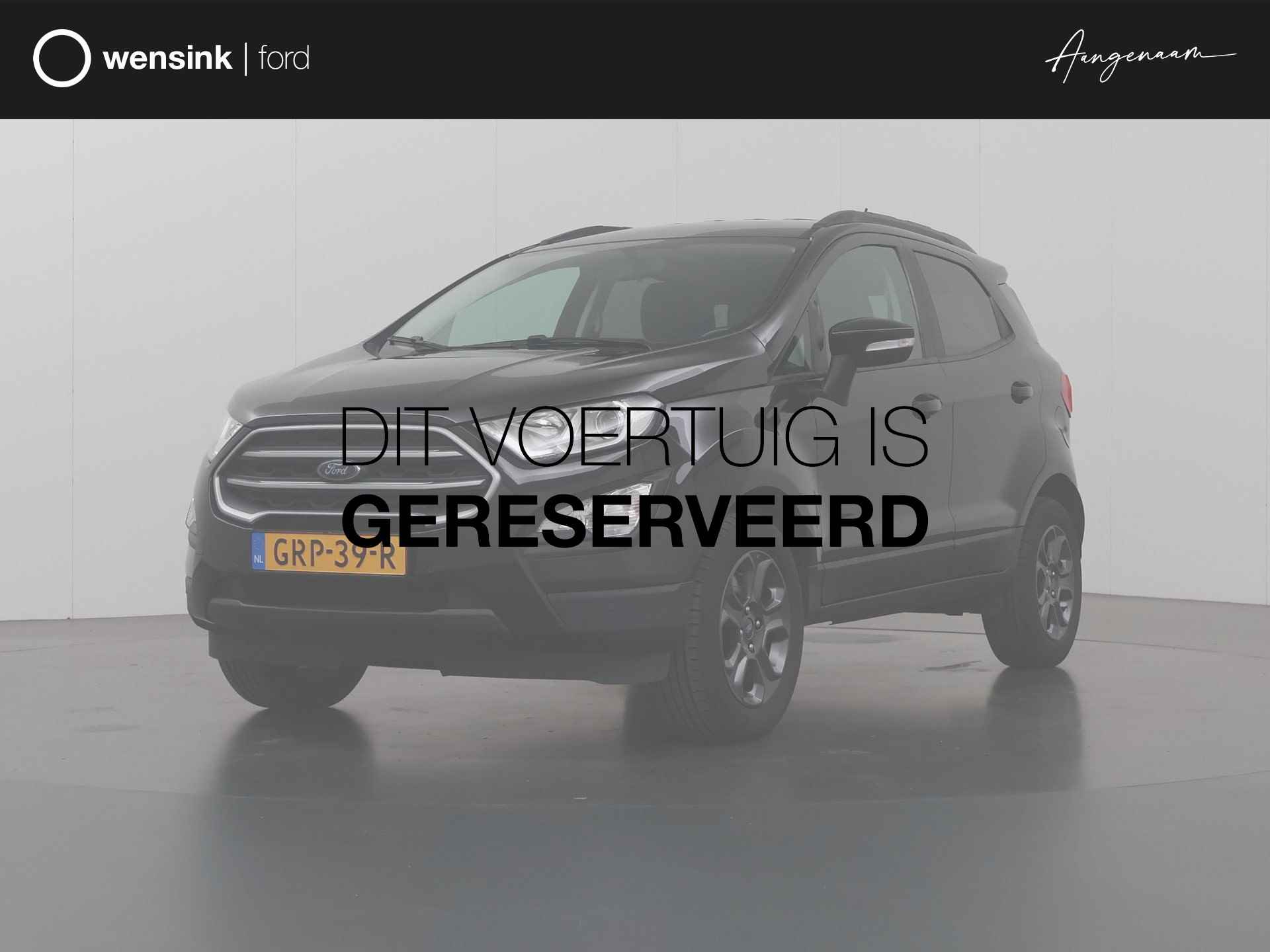 Ford EcoSport BOVAG 40-Puntencheck