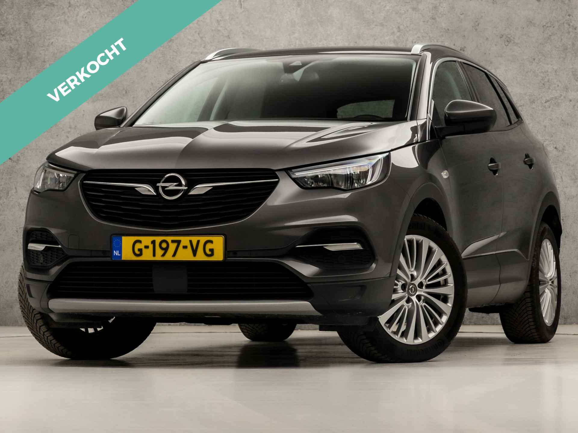 Opel Grandland X BOVAG 40-Puntencheck