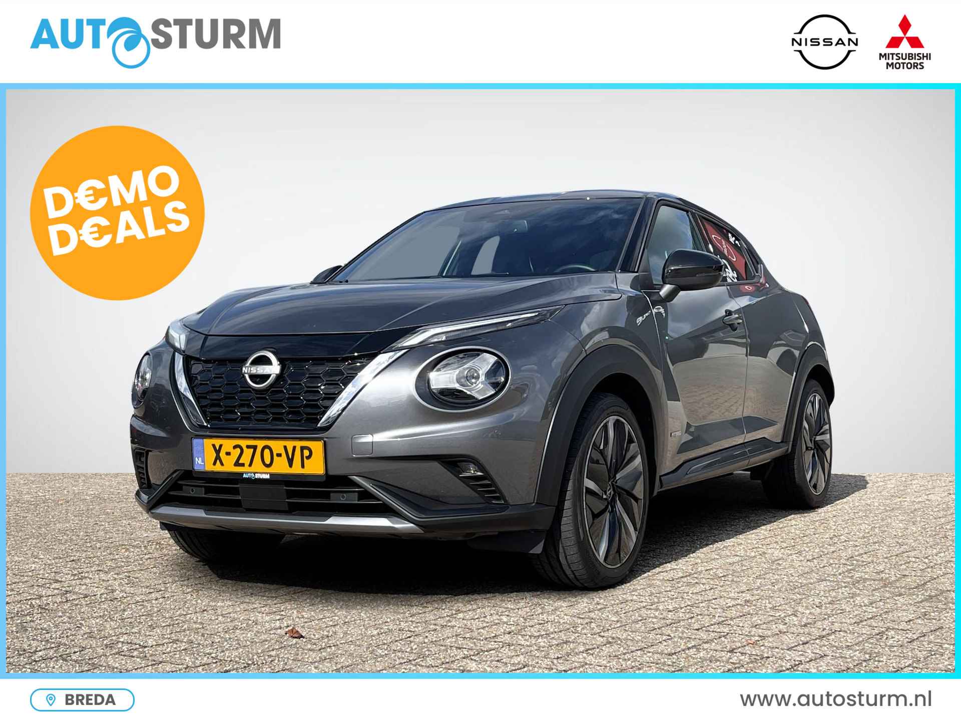 Nissan Juke BOVAG 40-Puntencheck