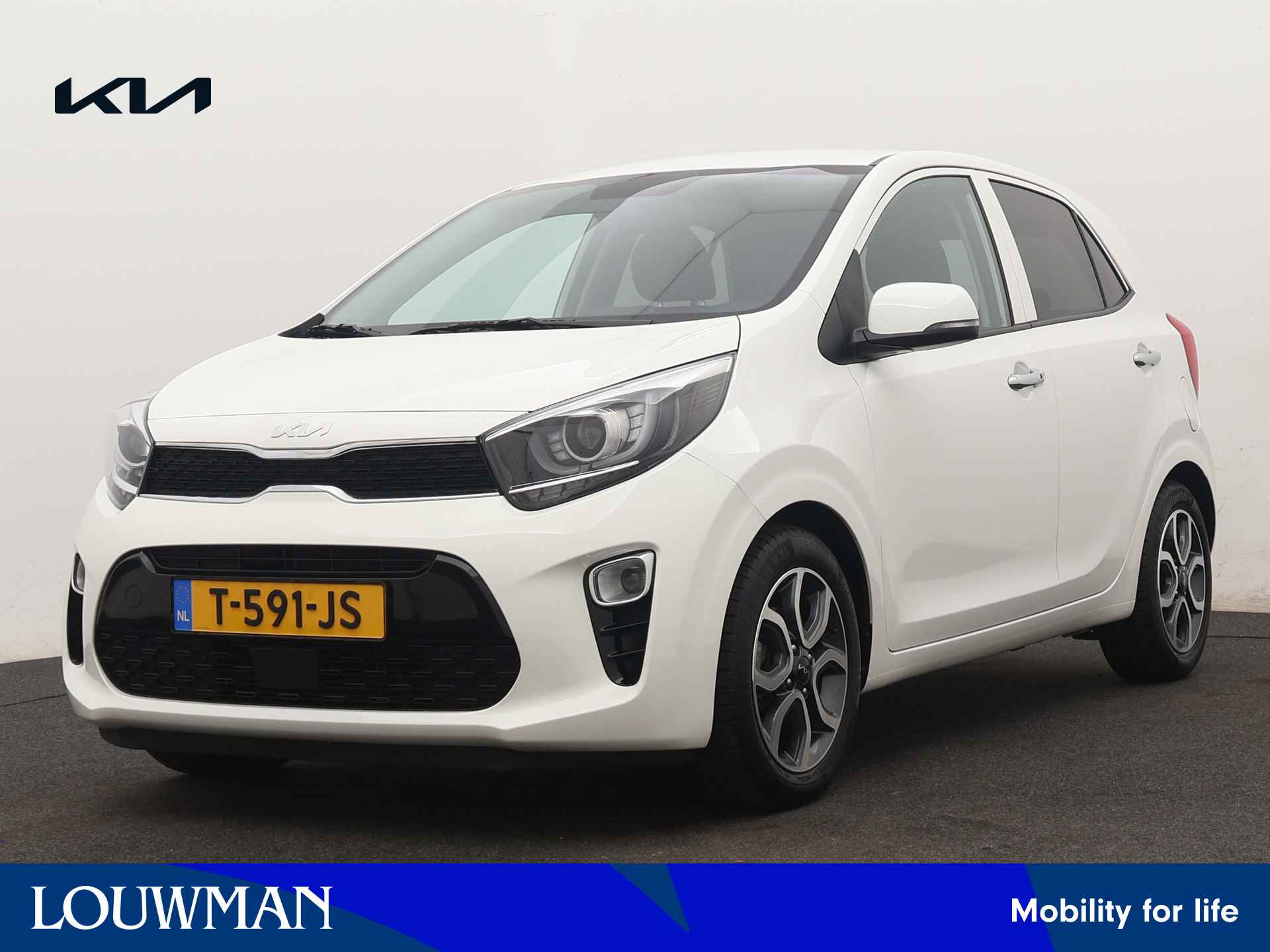 Kia Picanto BOVAG 40-Puntencheck