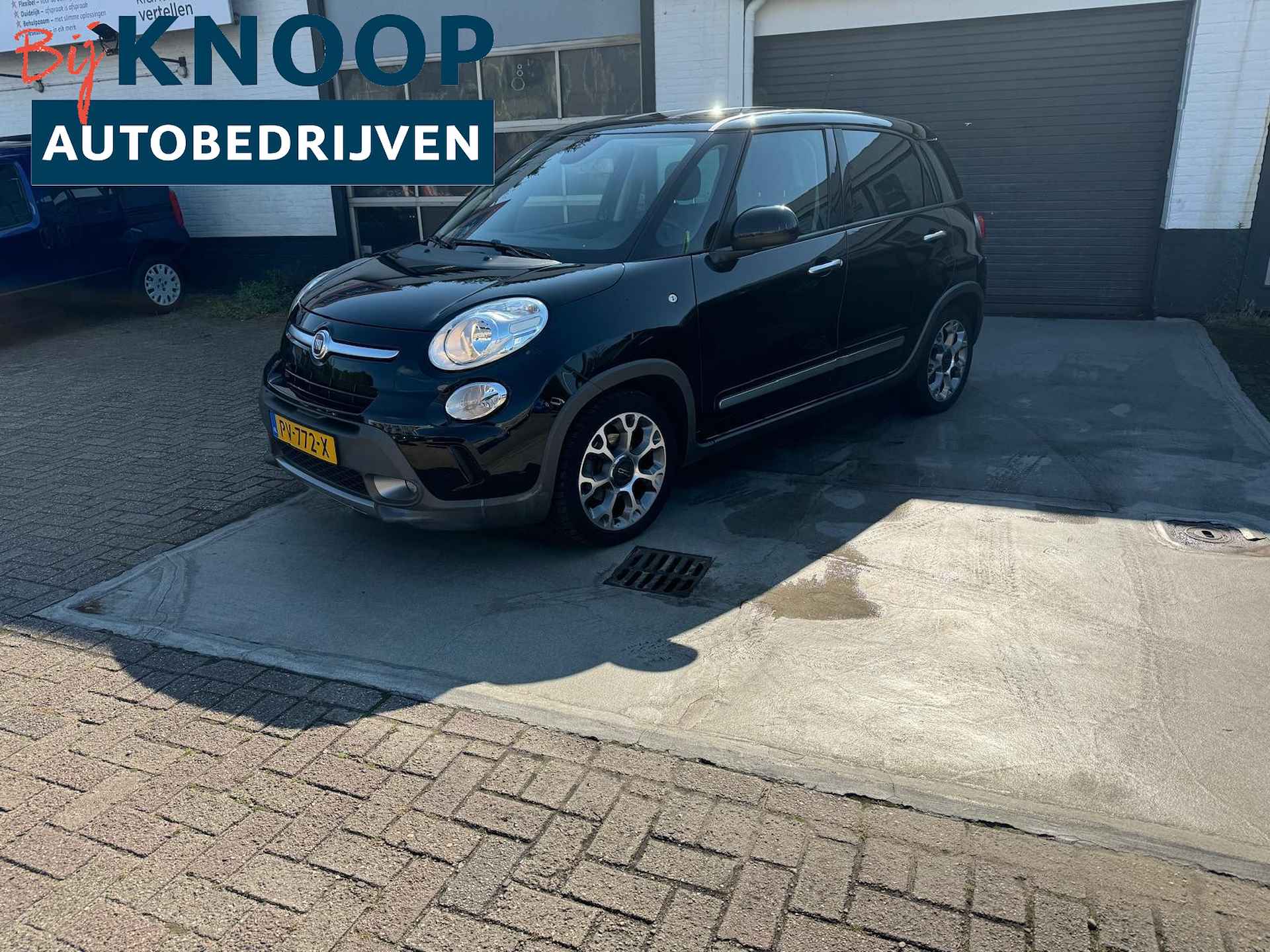 Fiat 500L BOVAG 40-Puntencheck