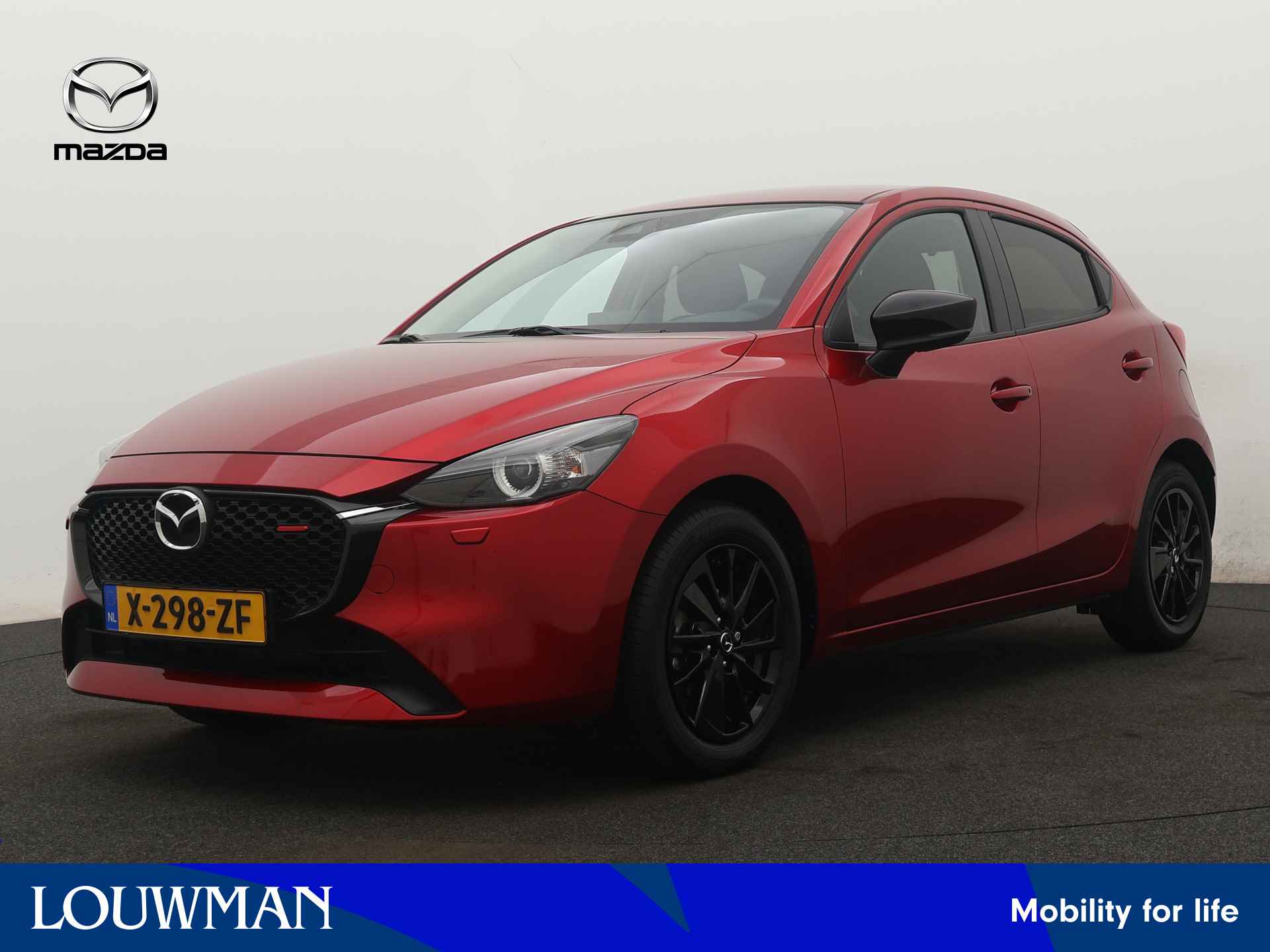 Mazda 2 BOVAG 40-Puntencheck