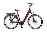 Van Dijck Juno 5 LDS Dames Red Matt 56cm 2024