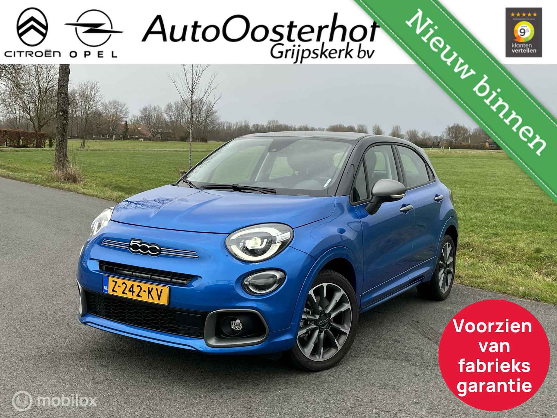 Fiat 500X BOVAG 40-Puntencheck