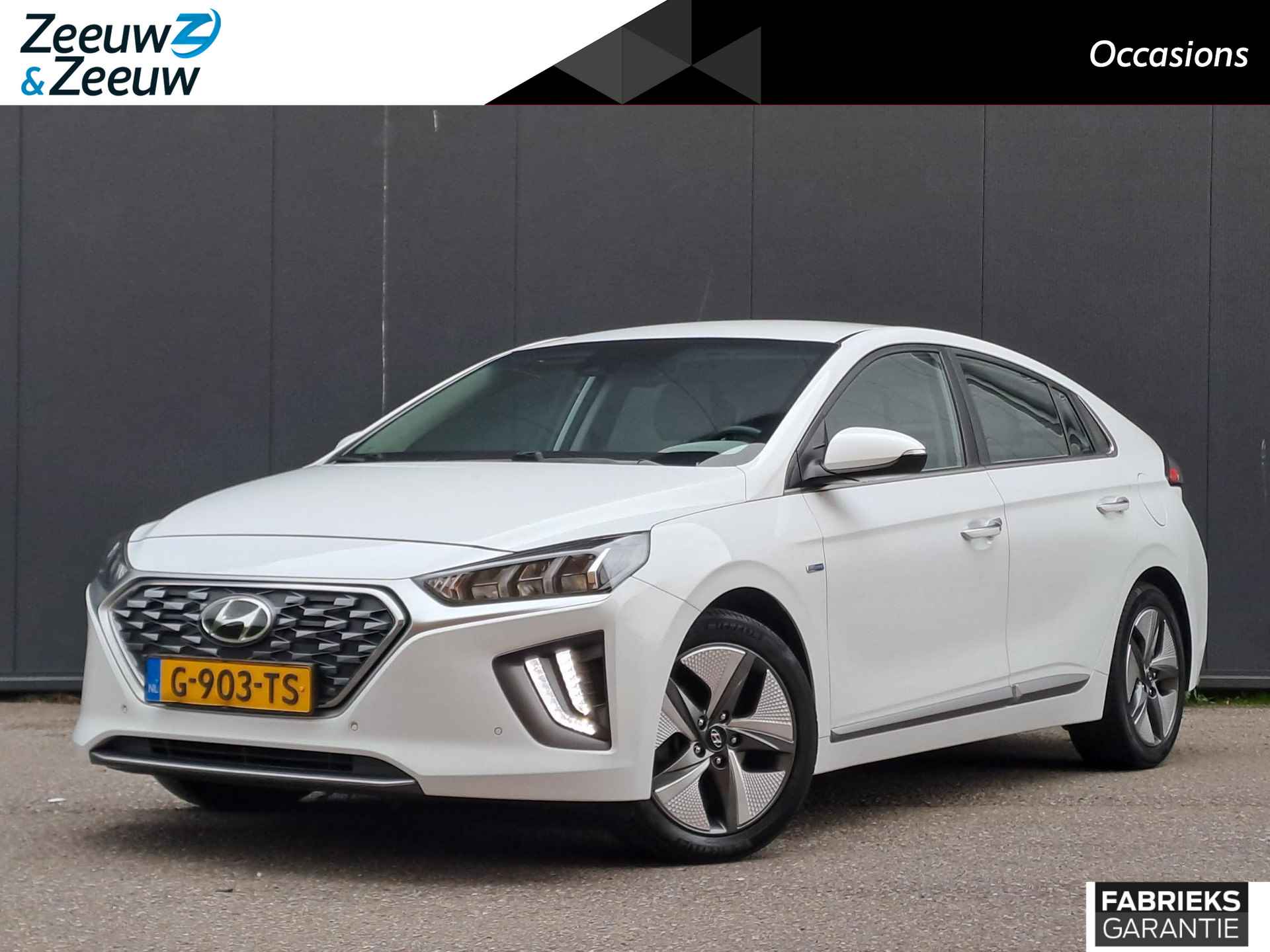 Hyundai Ioniq BOVAG 40-Puntencheck