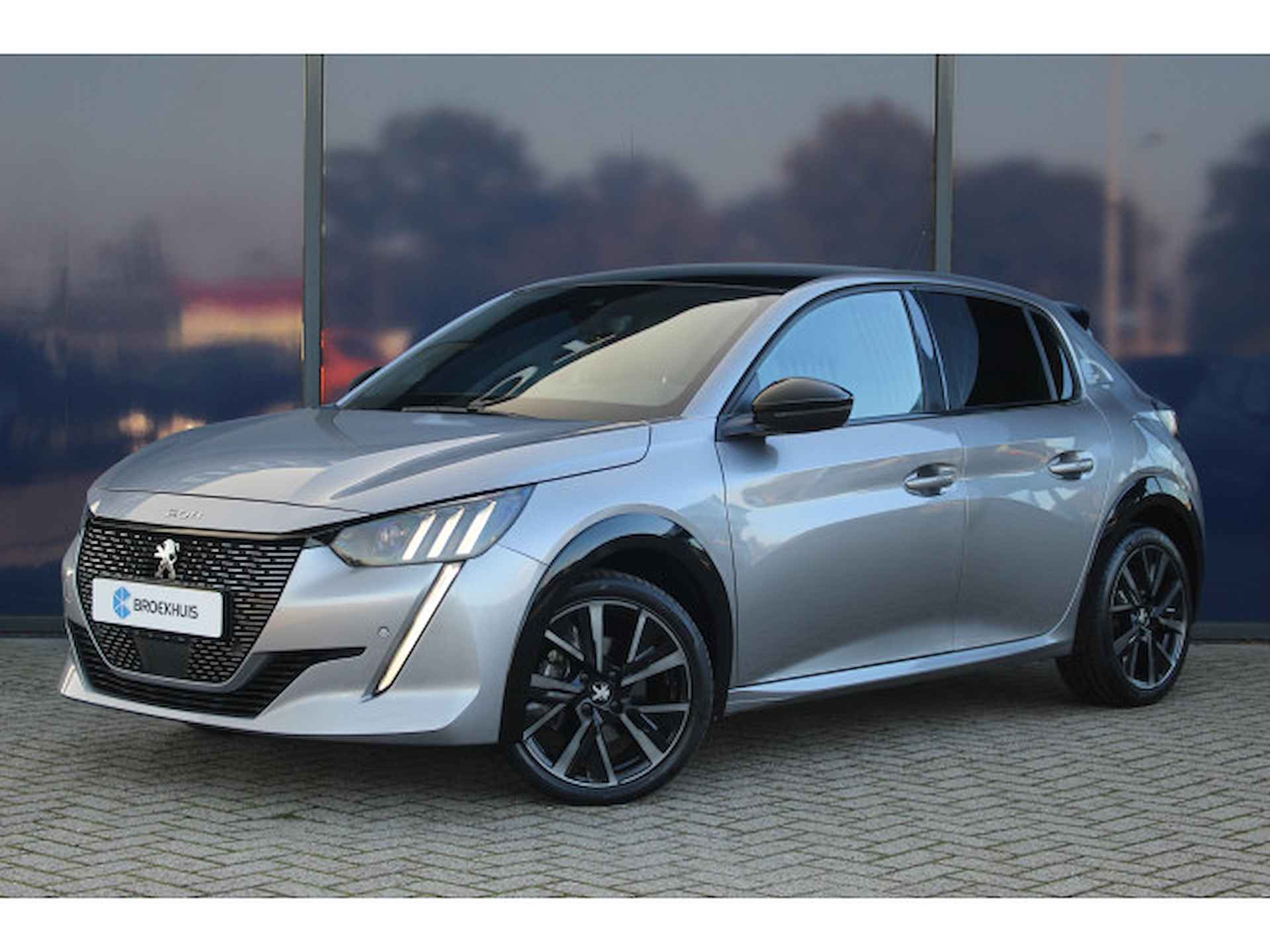 Peugeot 208 BOVAG 40-Puntencheck