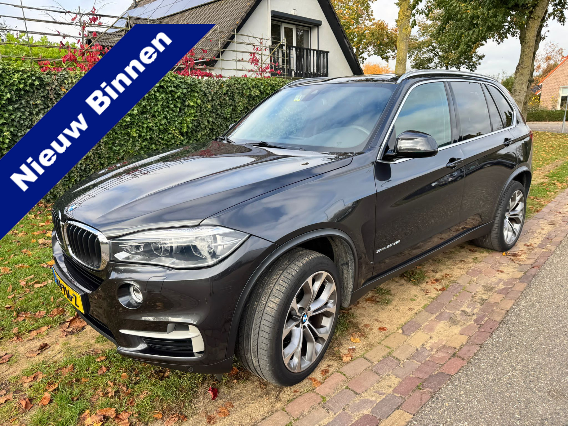 BMW X5 sDrive25d High Executive 7-Pers, Panodak, Camera,