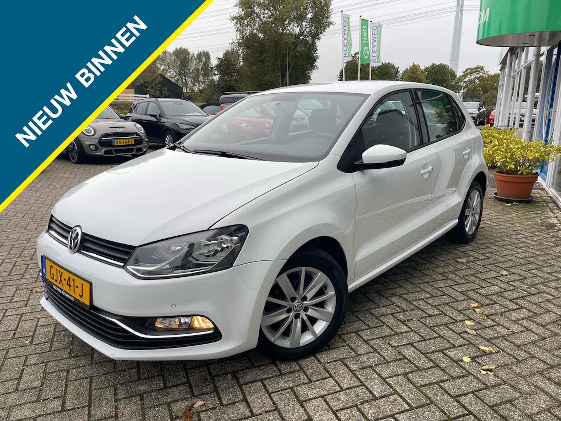 Volkswagen Polo BOVAG 40-Puntencheck