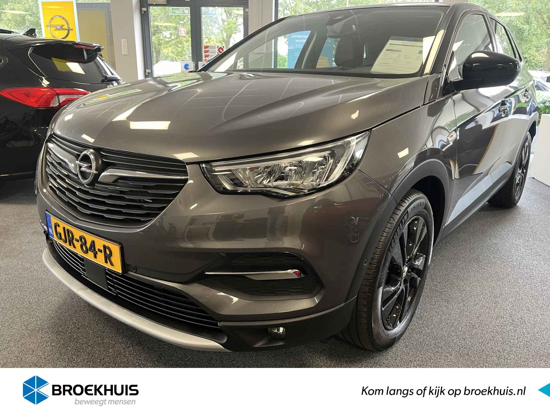 Opel Grandland X BOVAG 40-Puntencheck