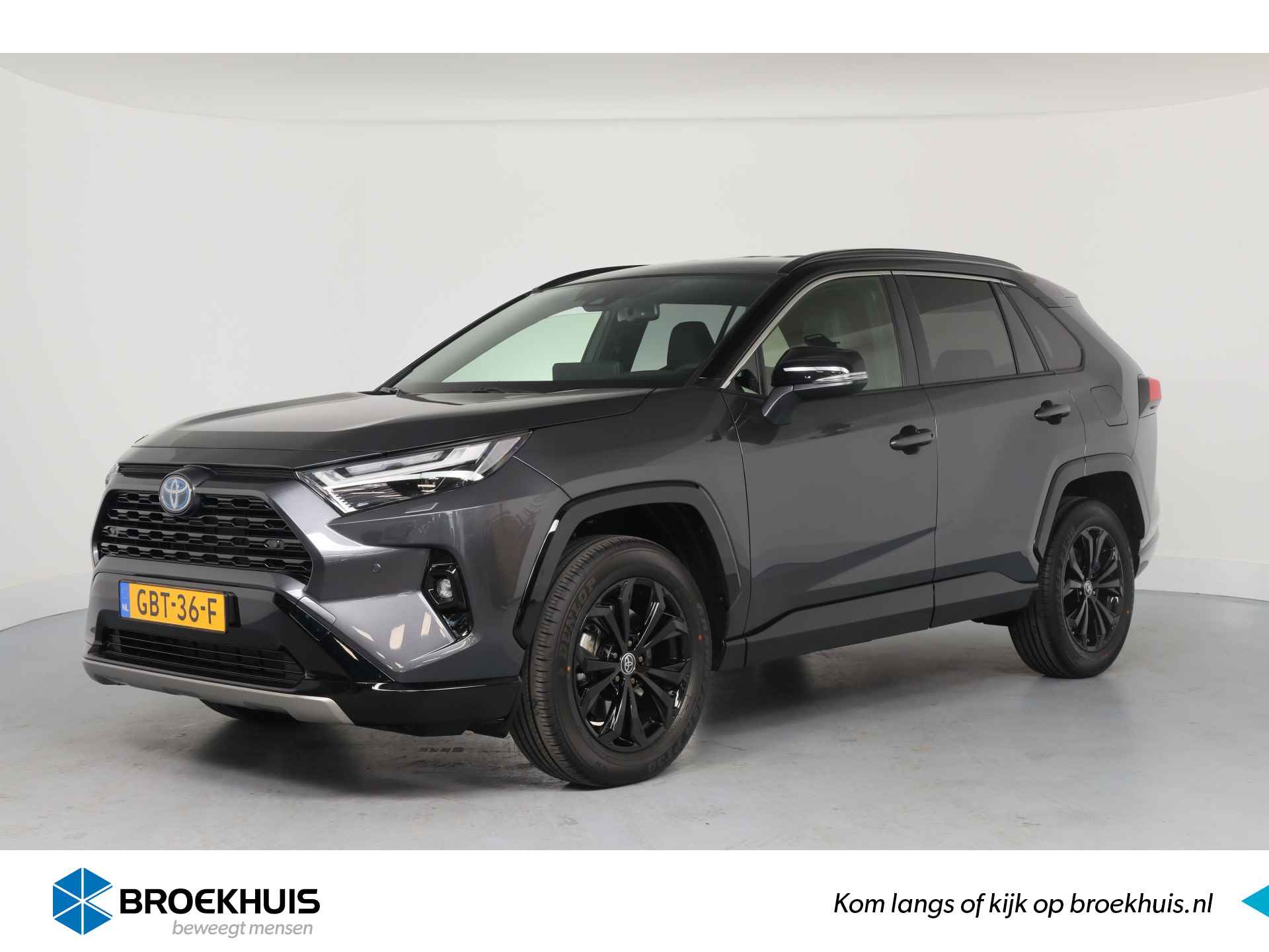 Toyota RAV4 BOVAG 40-Puntencheck