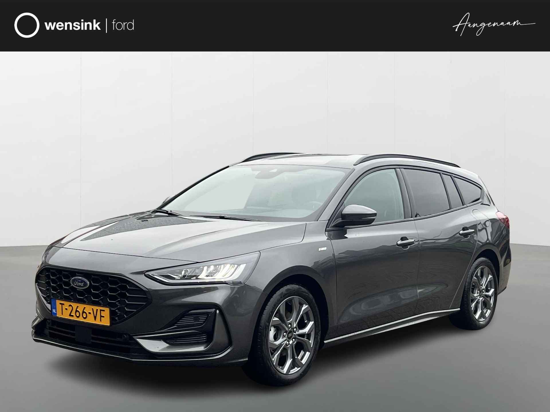 Ford Focus BOVAG 40-Puntencheck