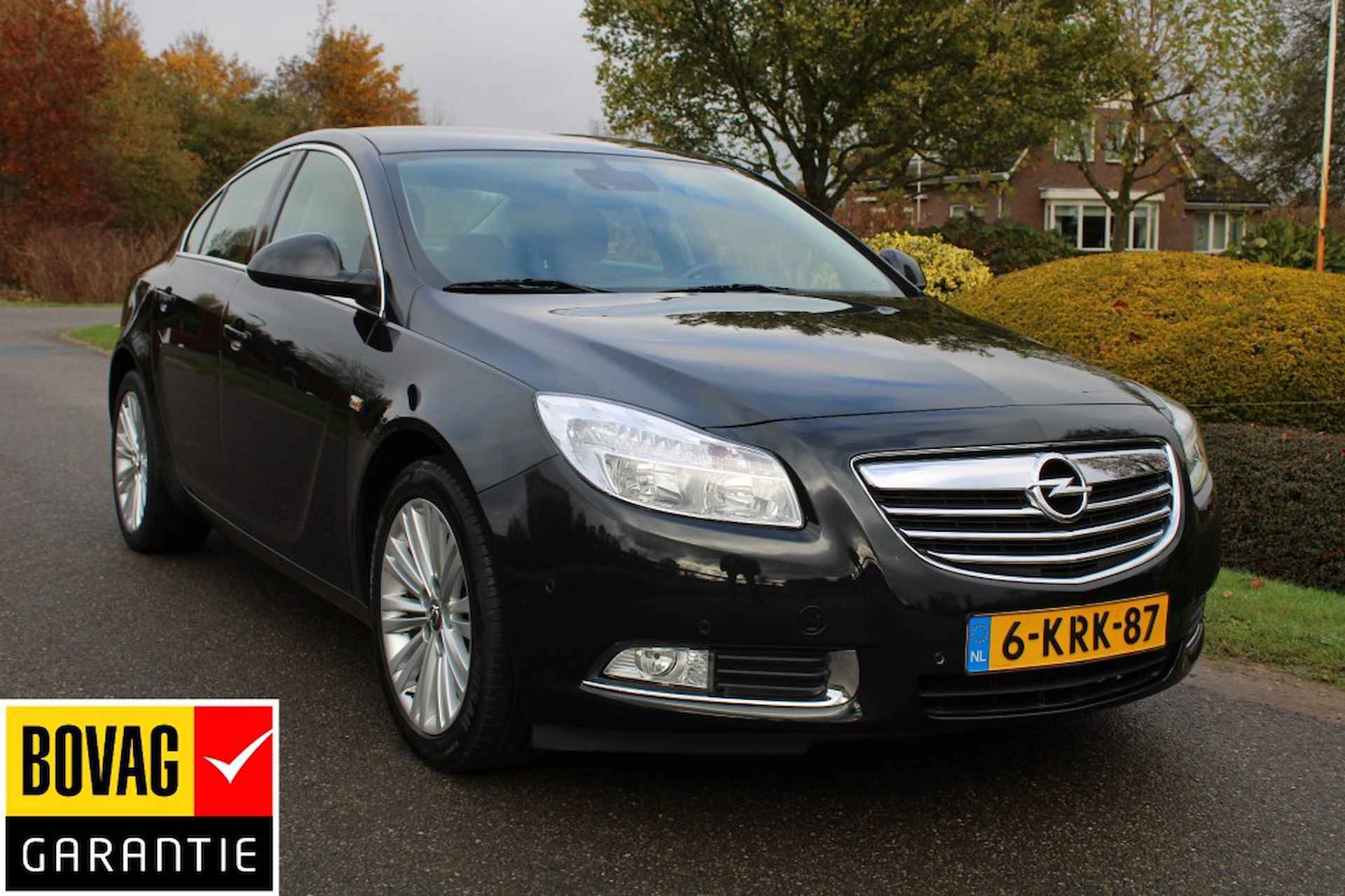 Opel Insignia BOVAG 40-Puntencheck