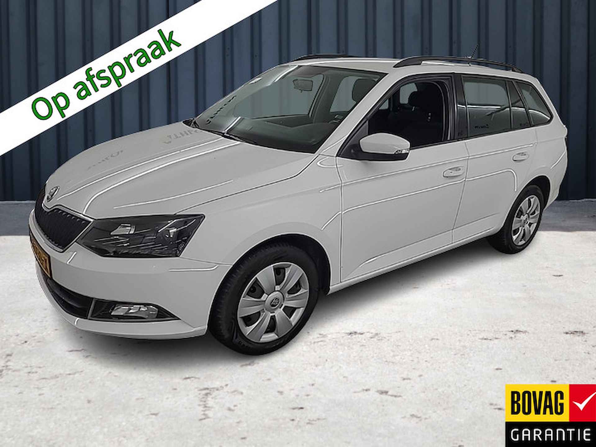 Škoda Fabia BOVAG 40-Puntencheck