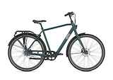 GAZELLE Esprit Belt Heren Pine Green Matt 54cm 2023