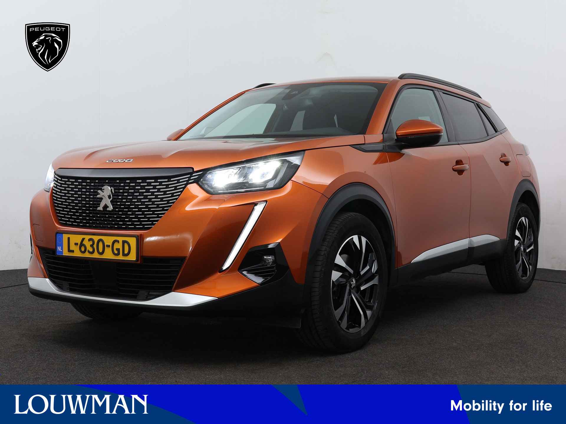 Peugeot 2008 BOVAG 40-Puntencheck