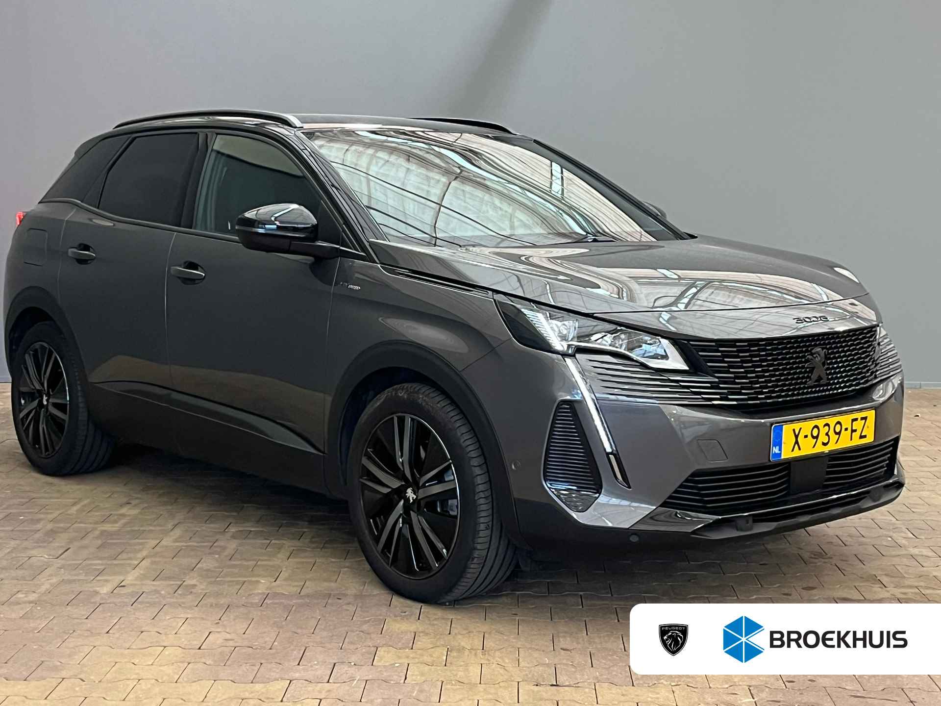 Peugeot 3008 BOVAG 40-Puntencheck