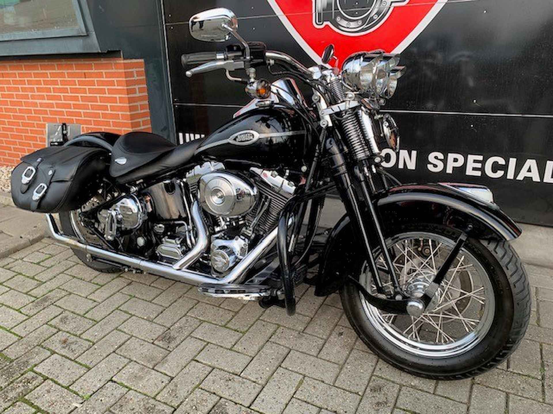 Harley-Davidson FLSTSC SPRINGER FLSTS FXSTS - 3/17