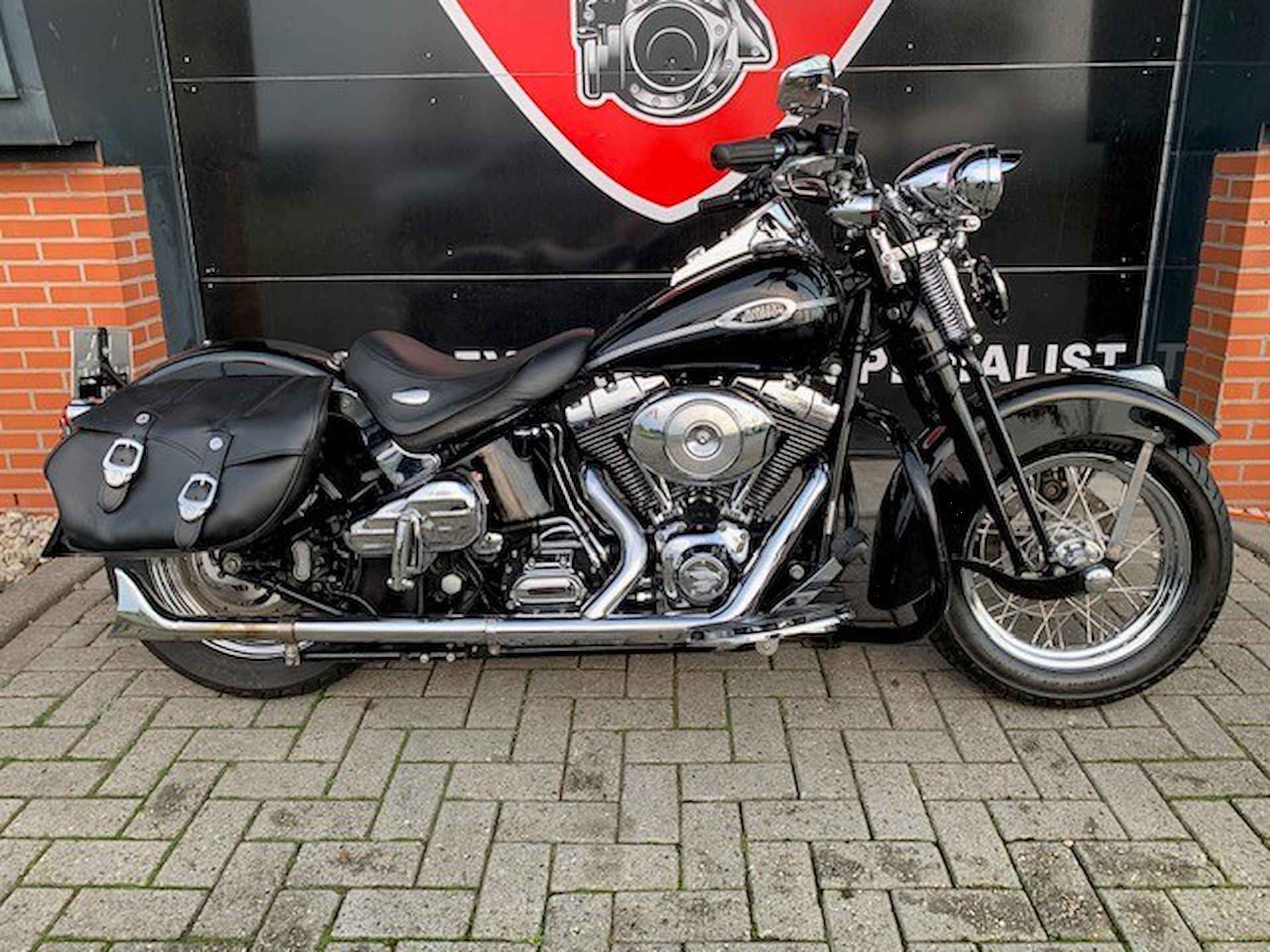 Harley-Davidson FLSTSC SPRINGER FLSTS FXSTS - 5/17