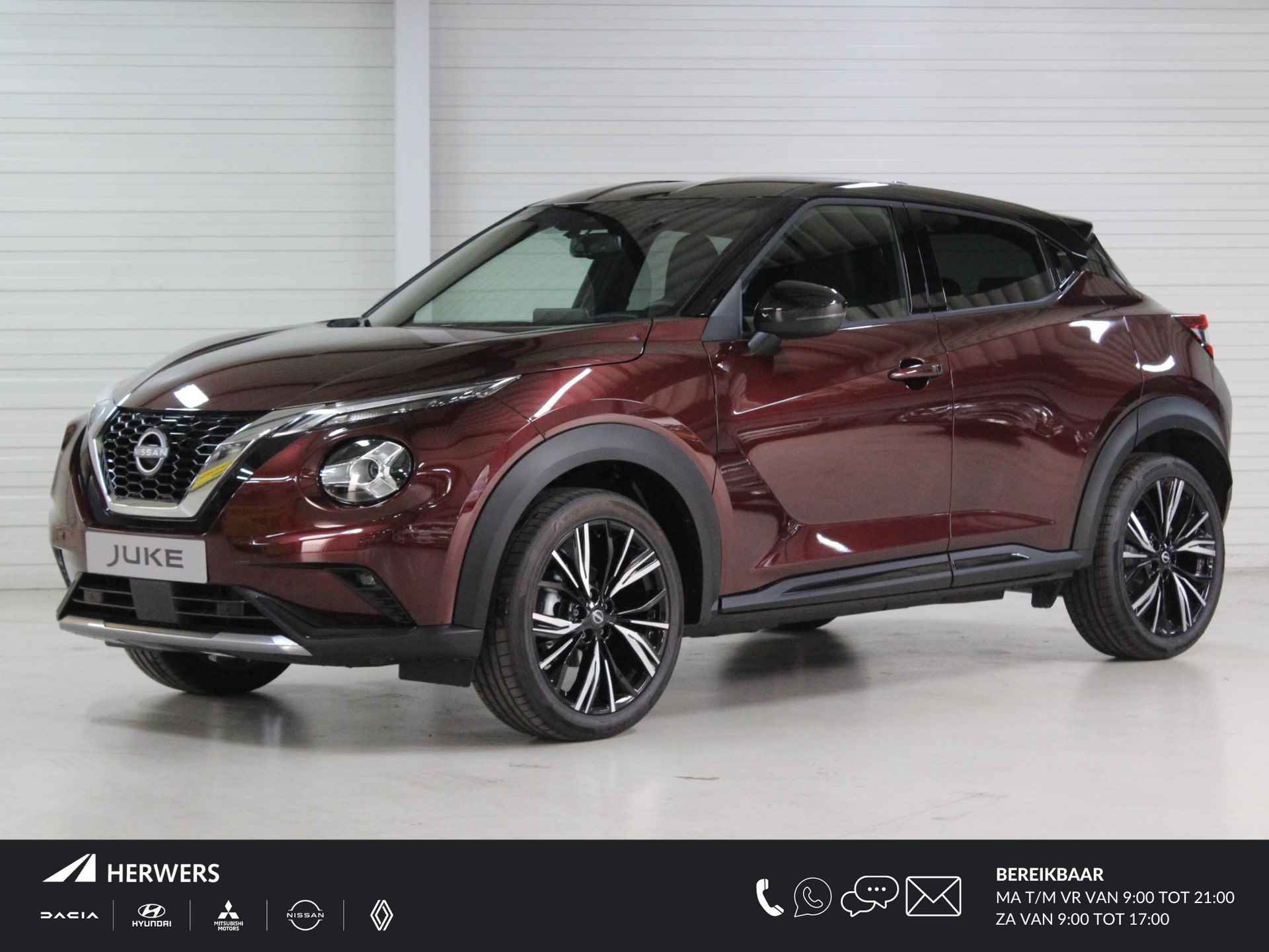 Nissan Juke BOVAG 40-Puntencheck