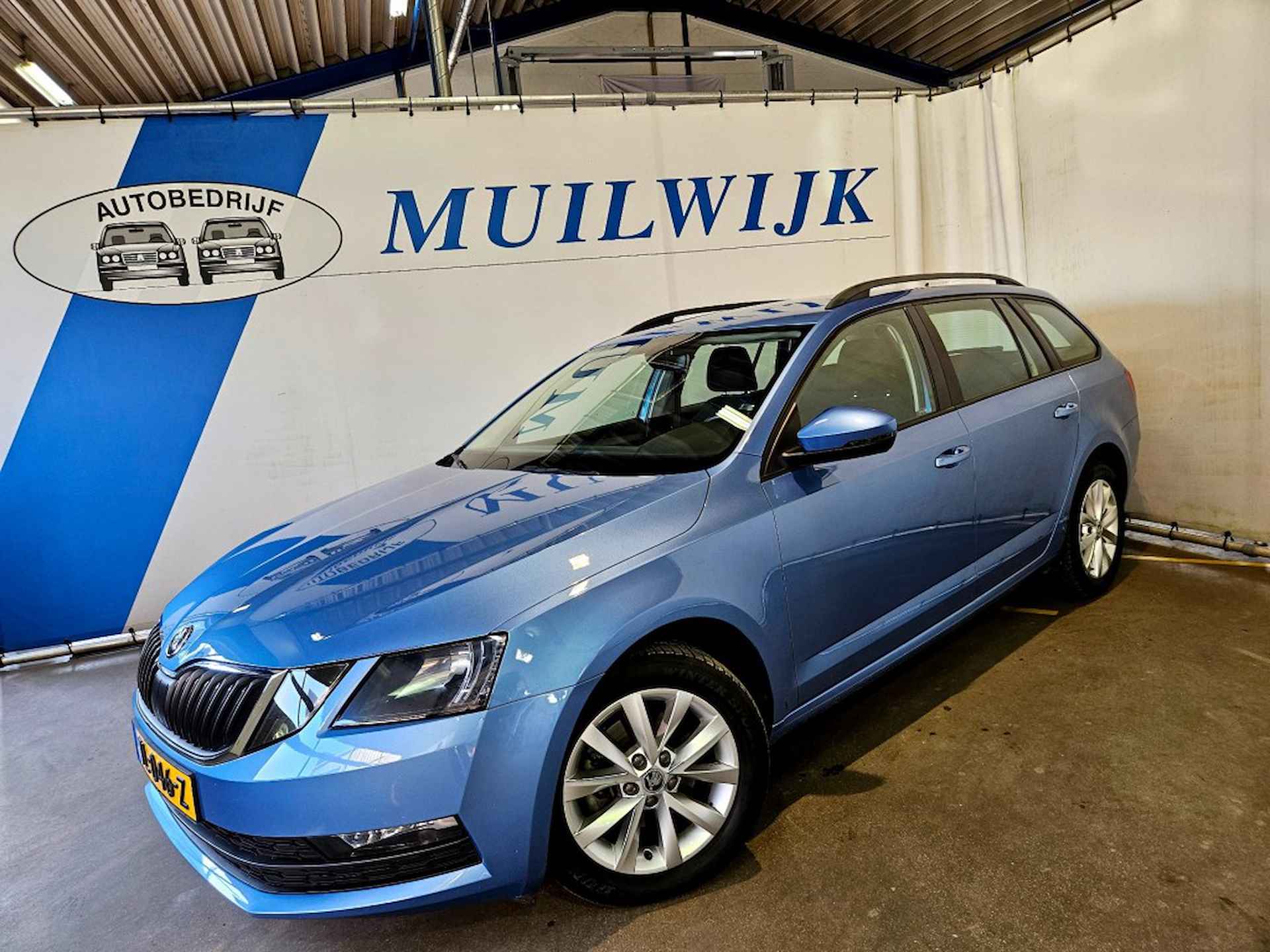 Škoda Octavia BOVAG 40-Puntencheck