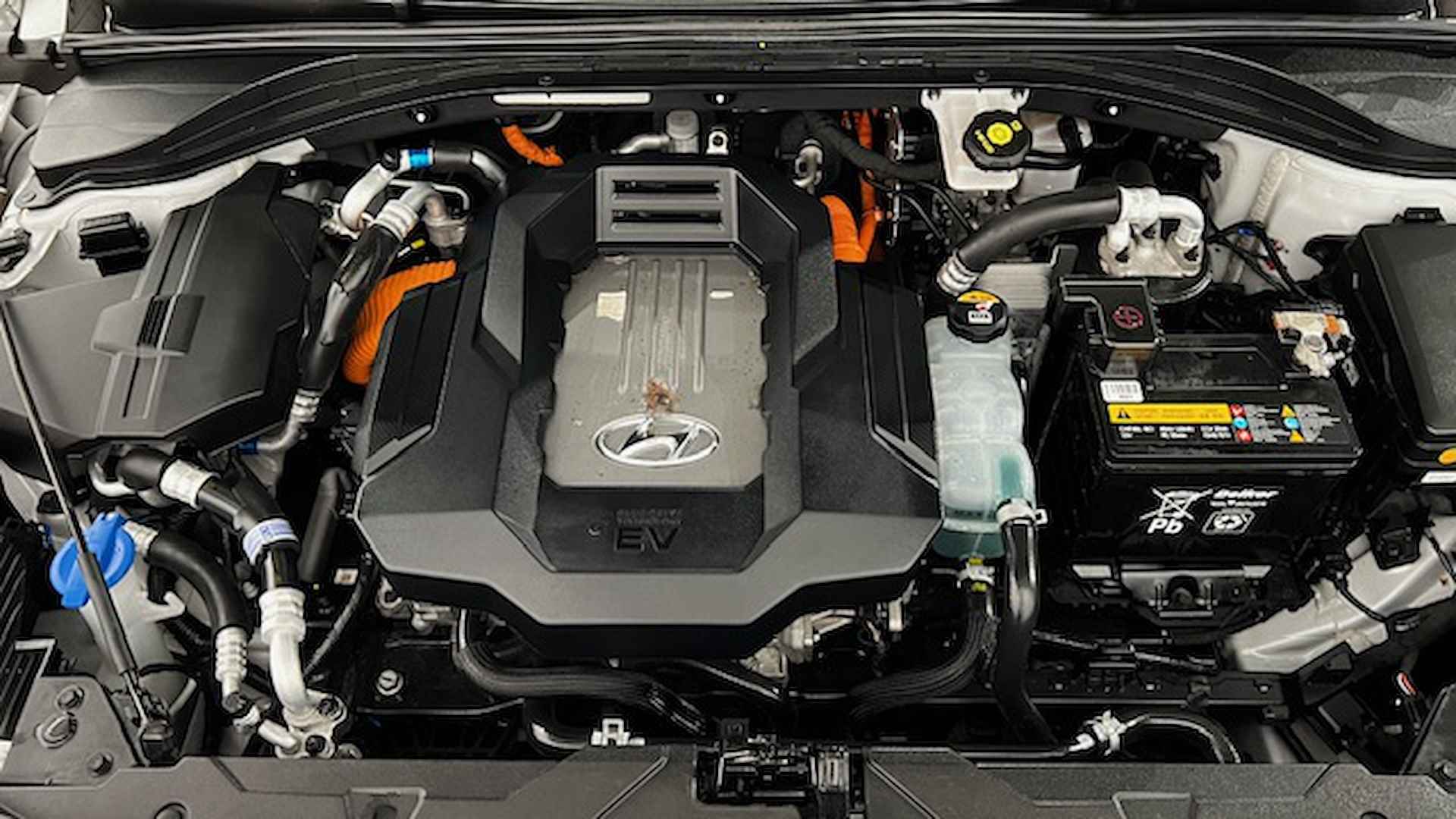 Hyundai Ioniq EV 120 pk Aut. Premium - 57/66