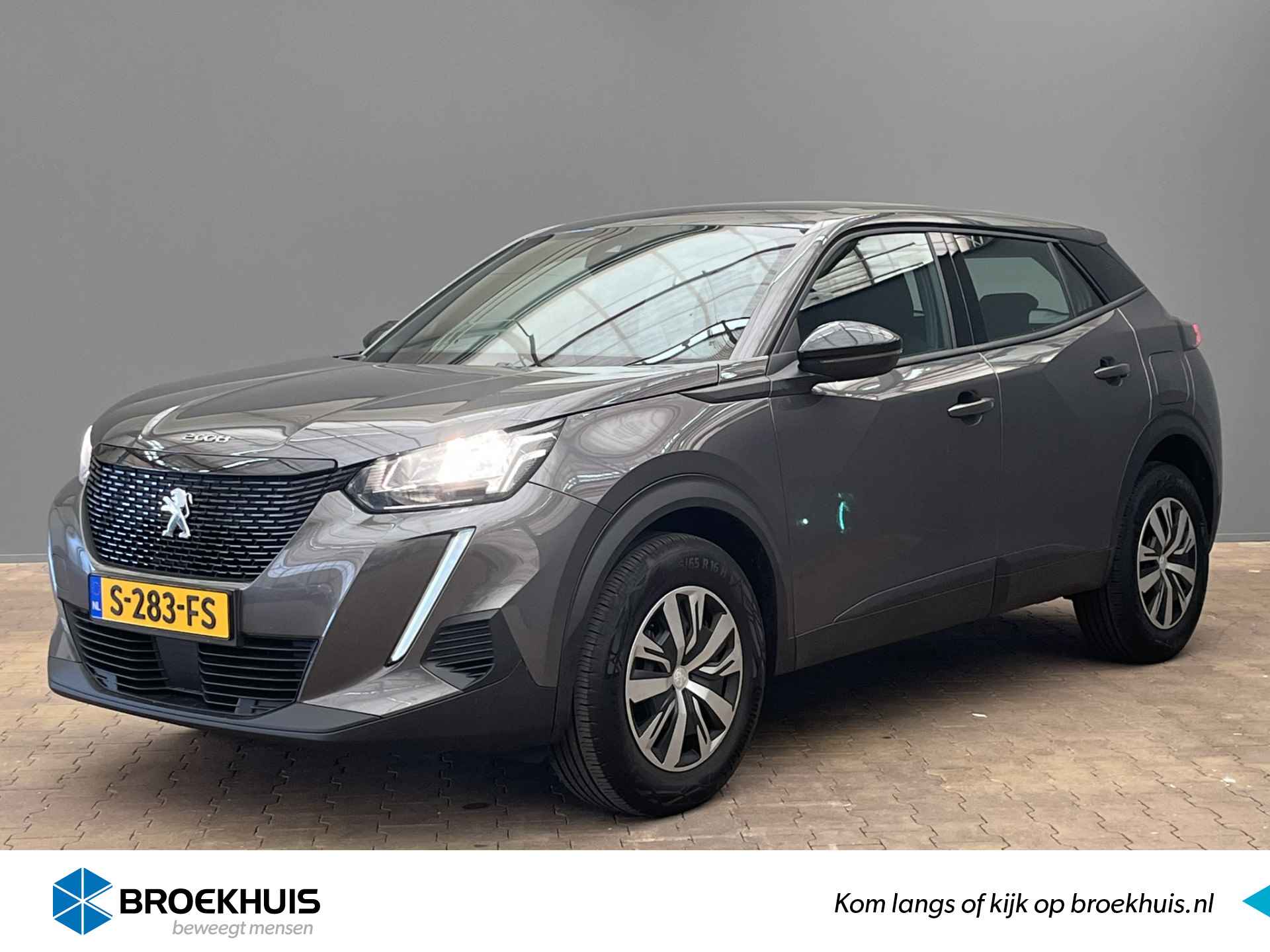 Peugeot 2008 BOVAG 40-Puntencheck