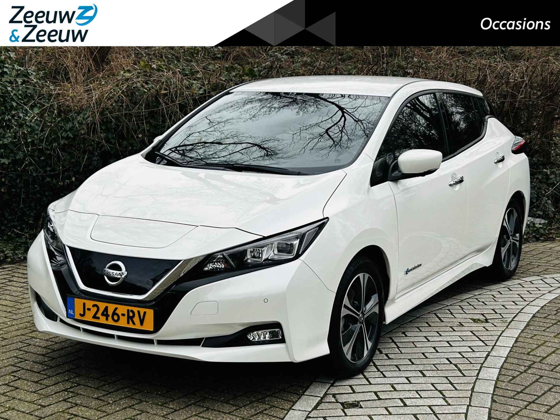 Nissan Leaf BOVAG 40-Puntencheck