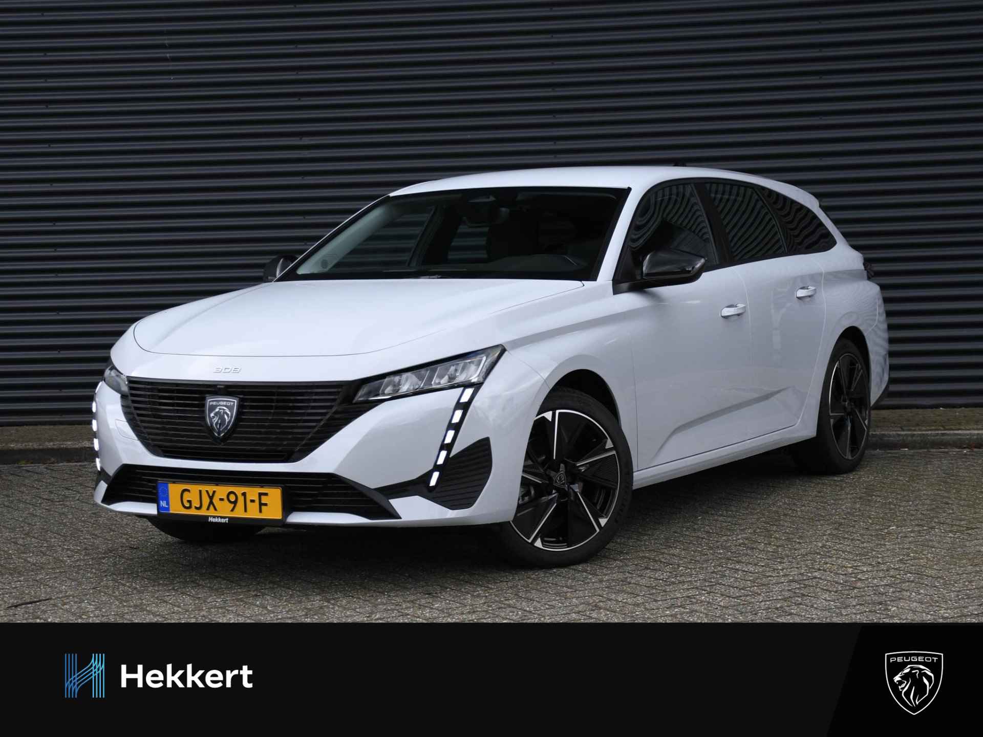 Peugeot e-308 BOVAG 40-Puntencheck