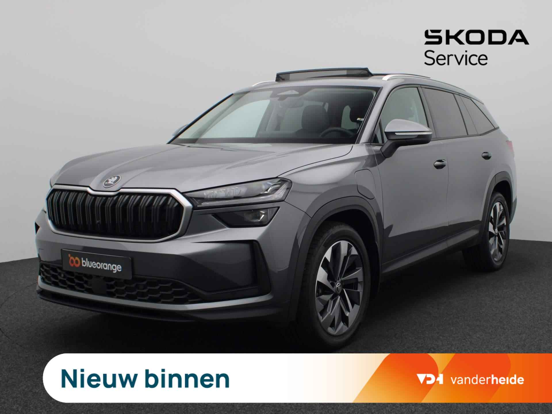 Škoda Kodiaq BOVAG 40-Puntencheck