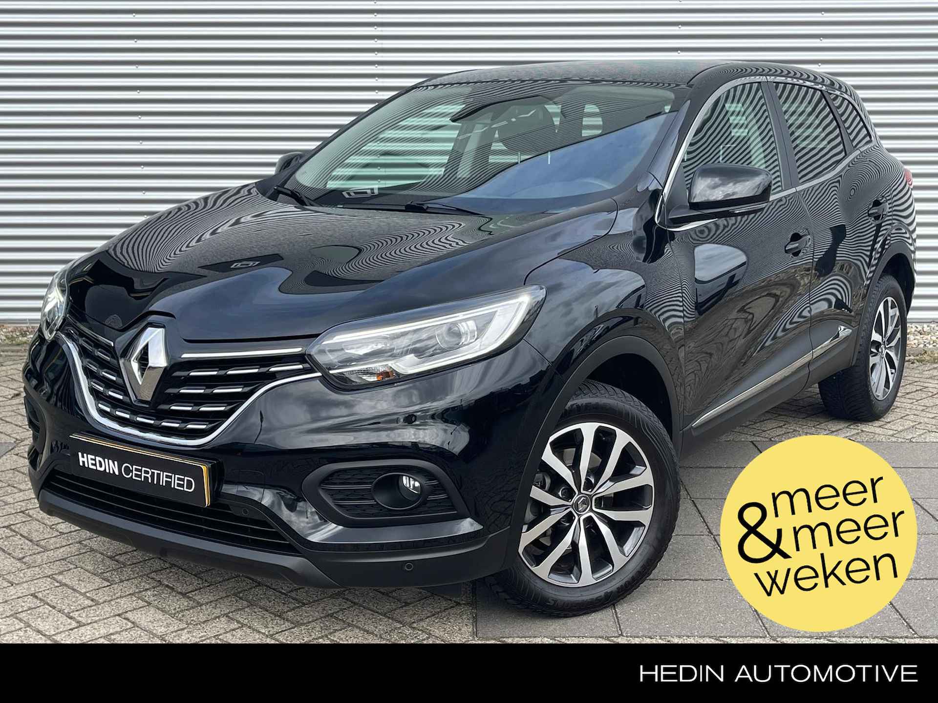 Renault Kadjar BOVAG 40-Puntencheck