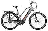 FREEBIKE Brooklyn M420 mat Antra L S Dames GRIJS 46cm S 2024