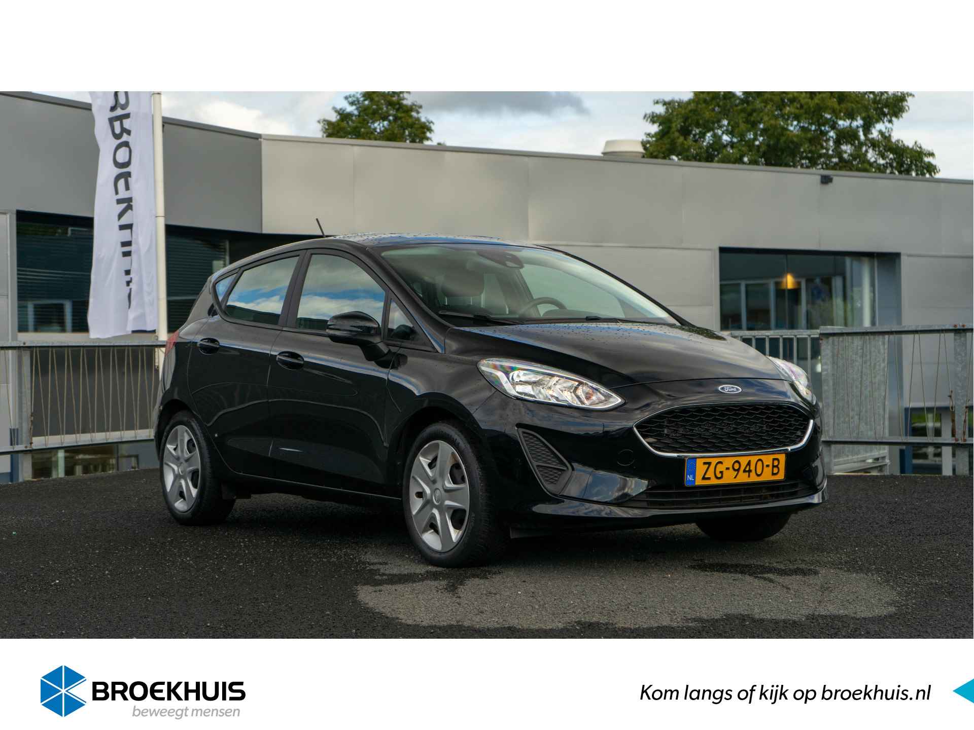 Ford Fiesta BOVAG 40-Puntencheck