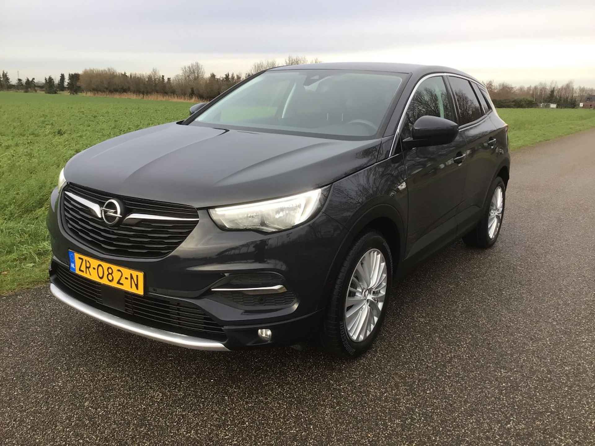 Opel Grandland X BOVAG 40-Puntencheck