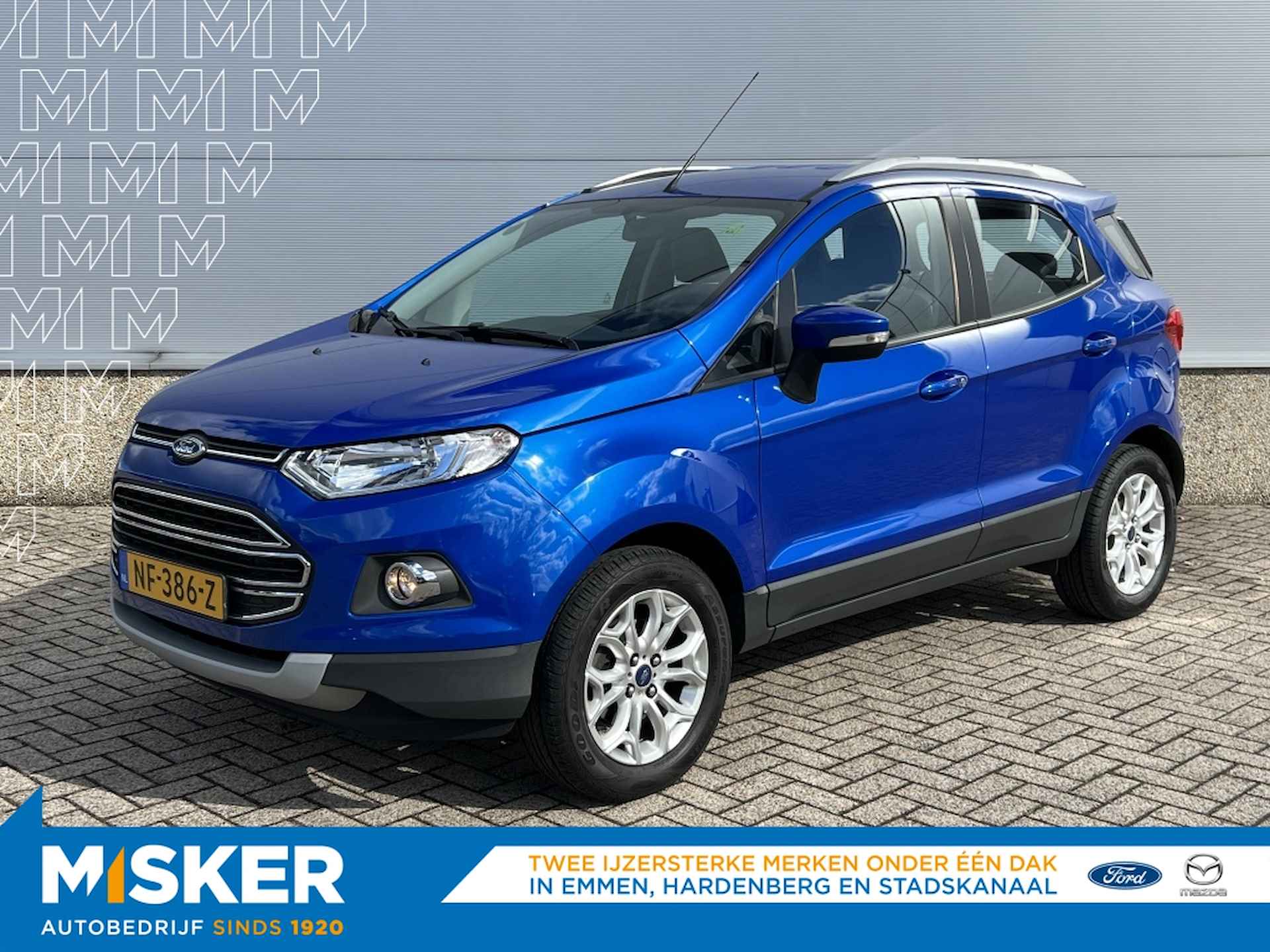 Ford EcoSport BOVAG 40-Puntencheck