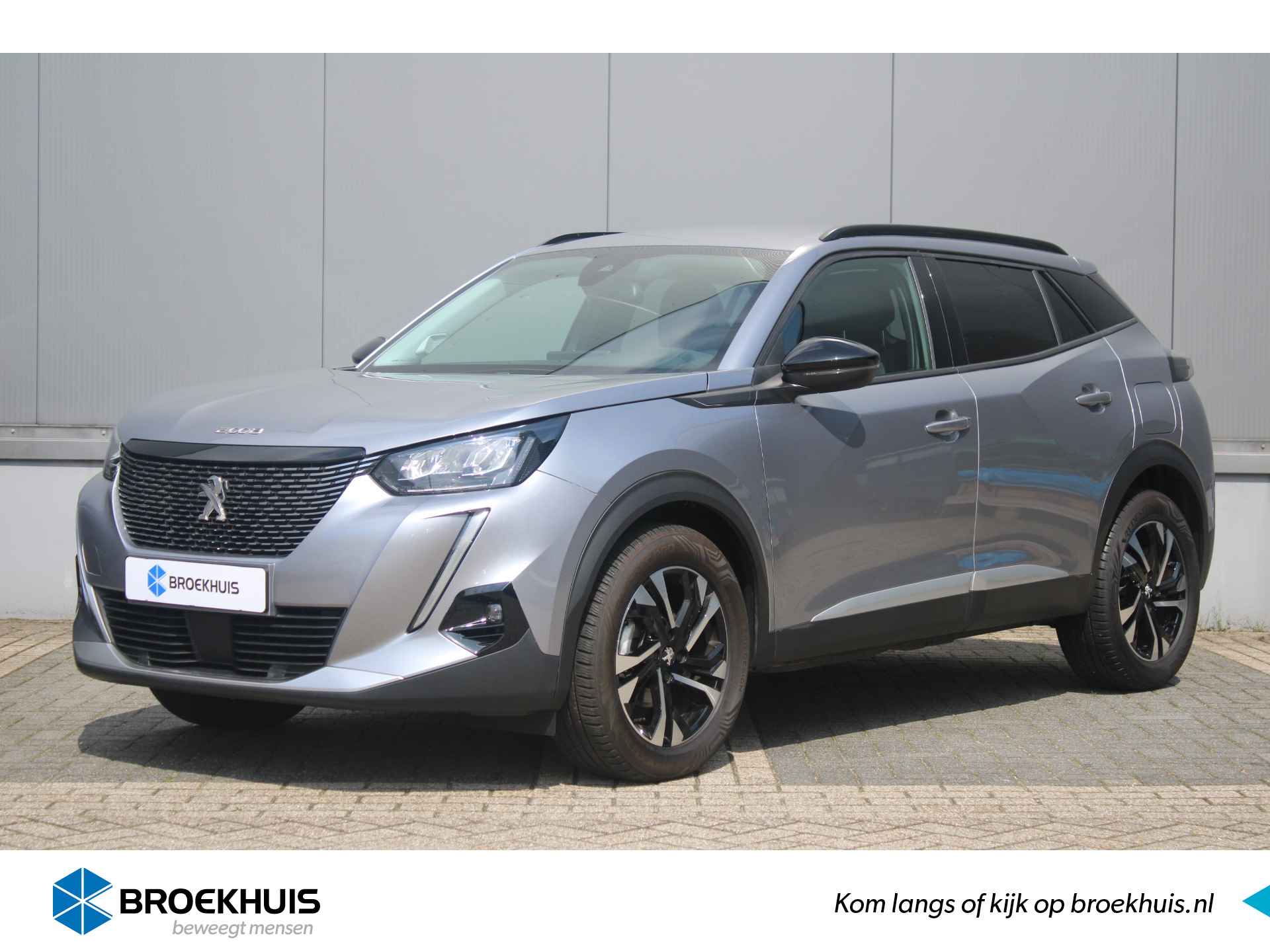 Peugeot 2008 BOVAG 40-Puntencheck