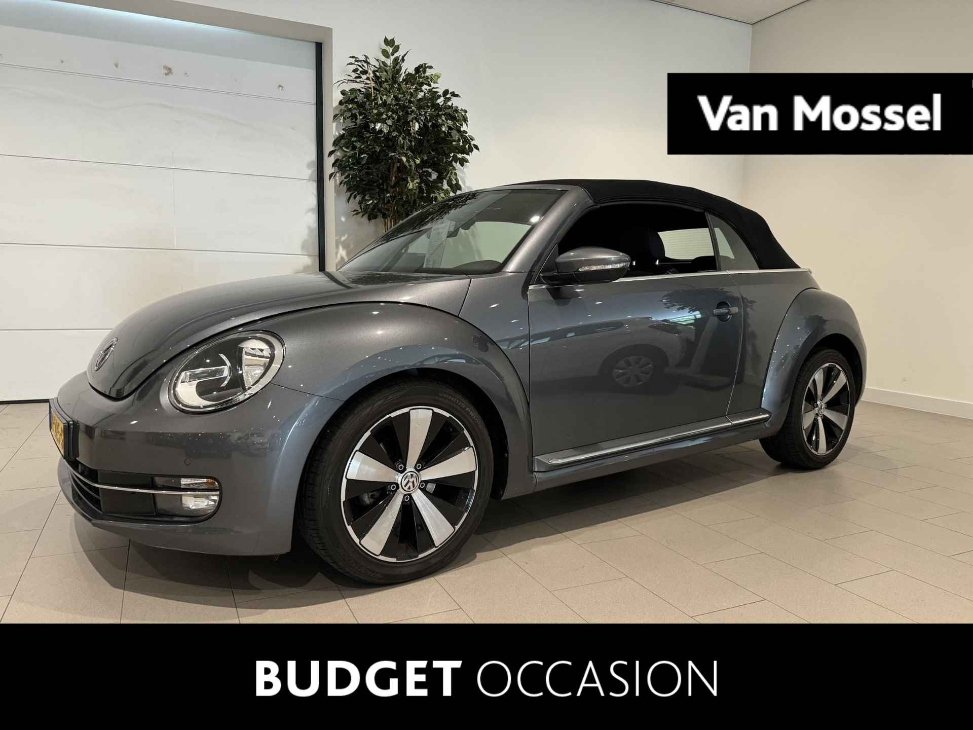 Volkswagen Beetle BOVAG 40-Puntencheck