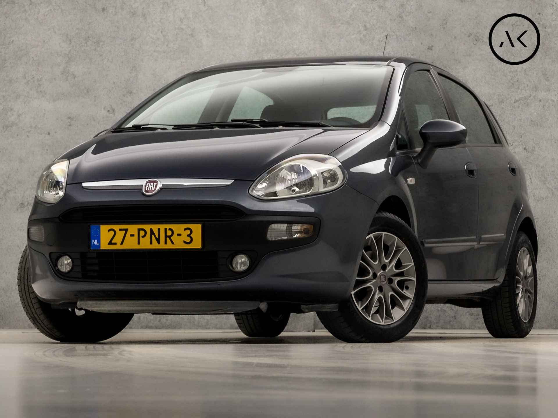 Fiat Punto BOVAG 40-Puntencheck