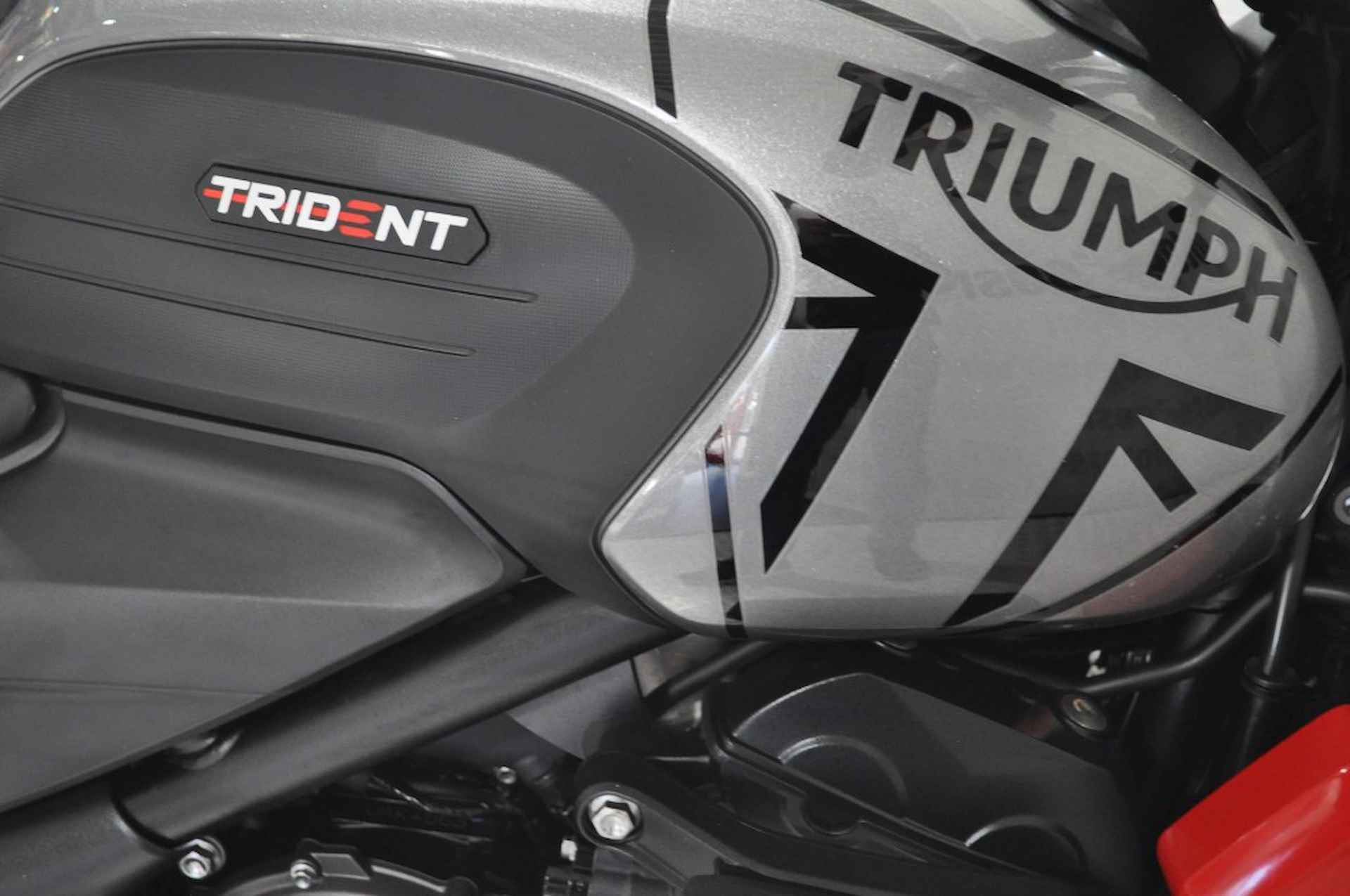 TRIUMPH Trident 660 - 19/20