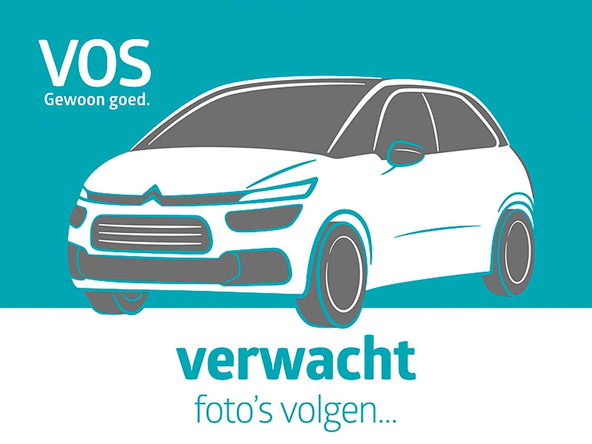 Citroën C4 BOVAG 40-Puntencheck