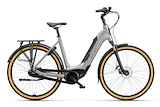 SPARTA C-Grid Energy DAMES TiItan Grey Gloss 46cm 2024