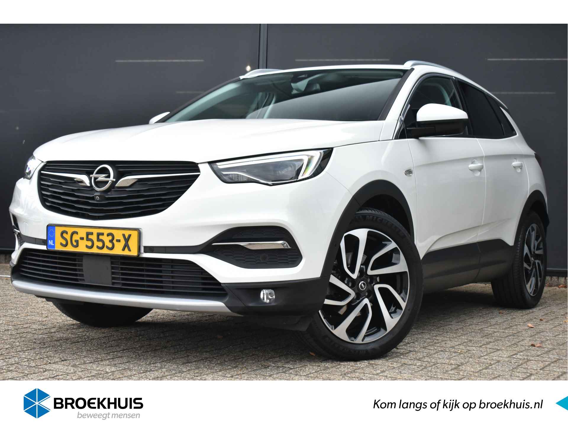 Opel Grandland X BOVAG 40-Puntencheck