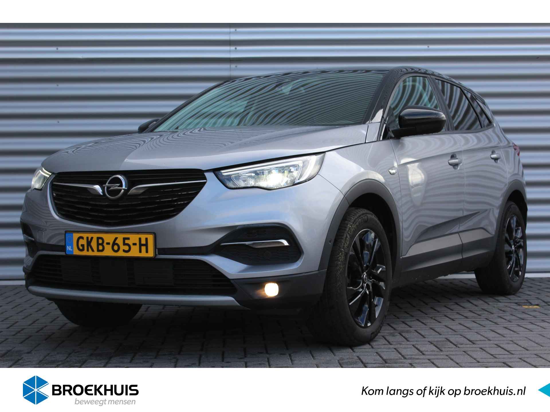 Opel Grandland X BOVAG 40-Puntencheck