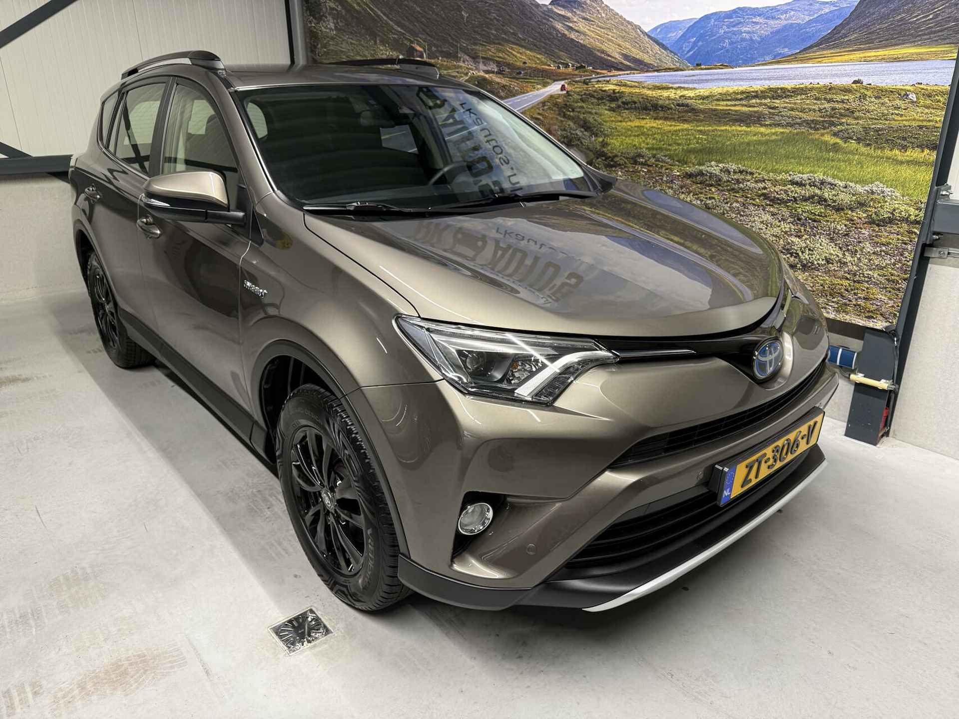 Toyota RAV4 2.5 Hybrid AWD Executive Business - 19/37