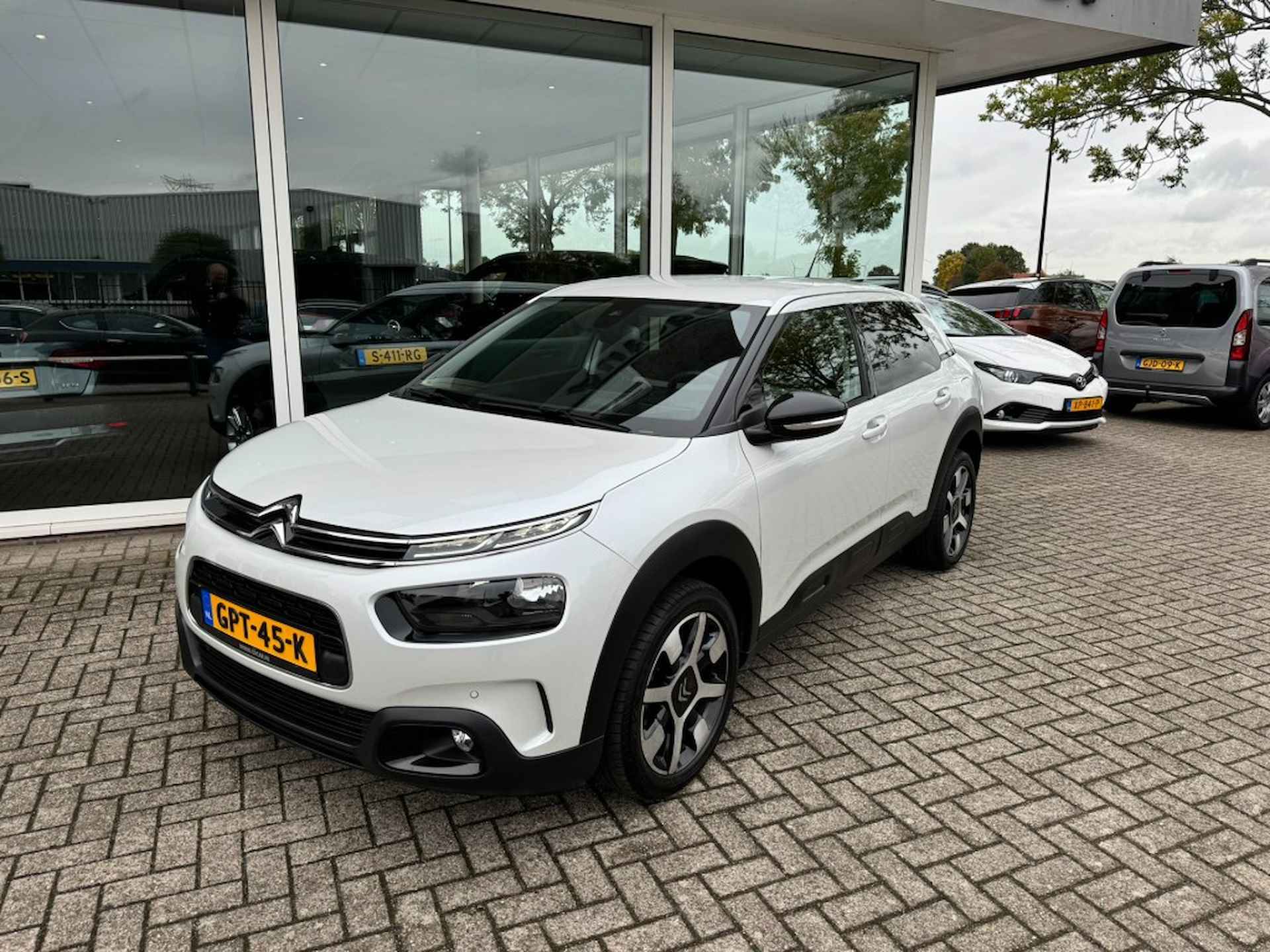 Citroën C4 Cactus BOVAG 40-Puntencheck