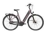 QWIC Premium i MN7.2 LEENFIETS NR.20 Dames Stone Lilac 59cm XL 2022