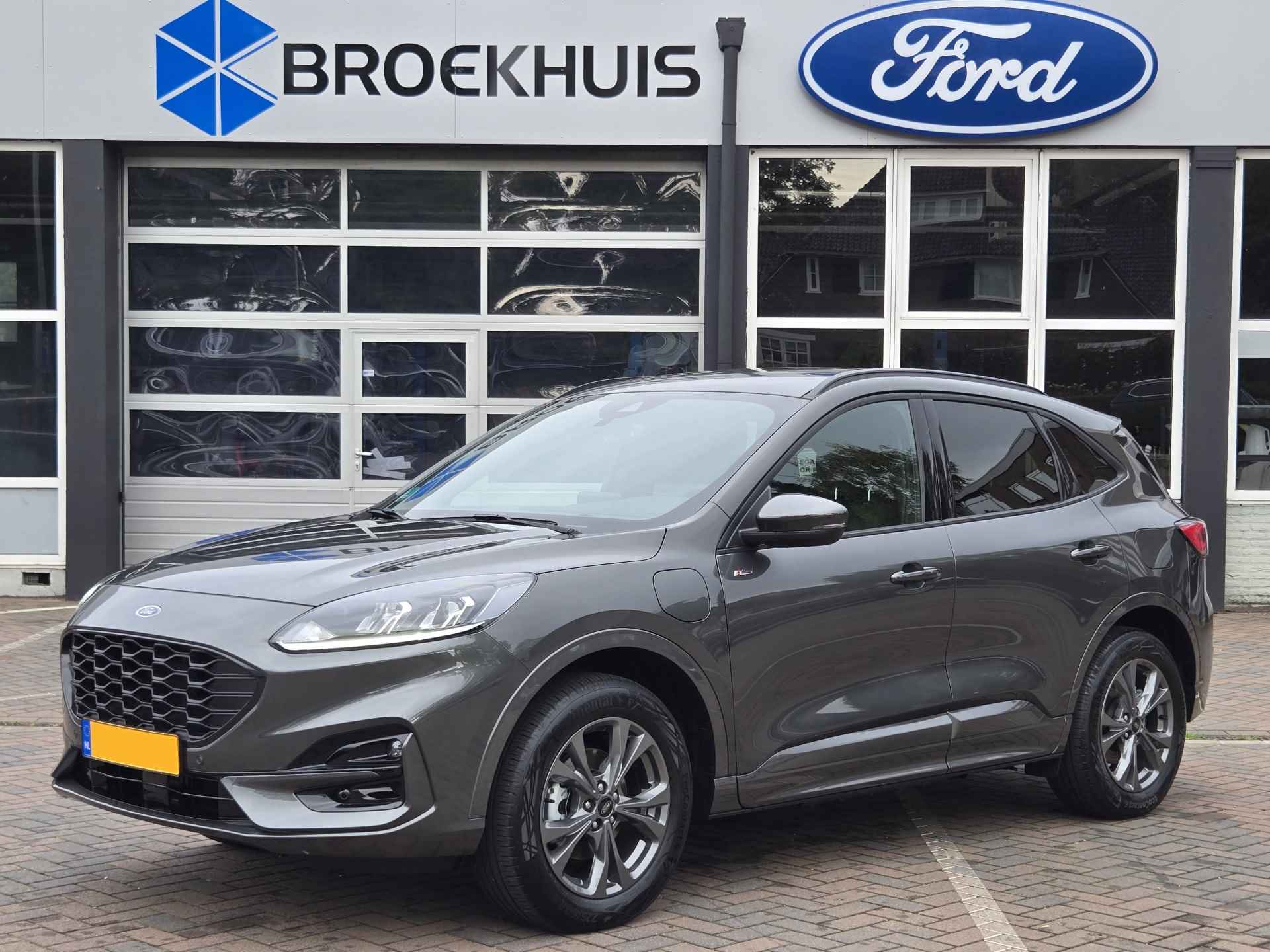 Ford Kuga BOVAG 40-Puntencheck