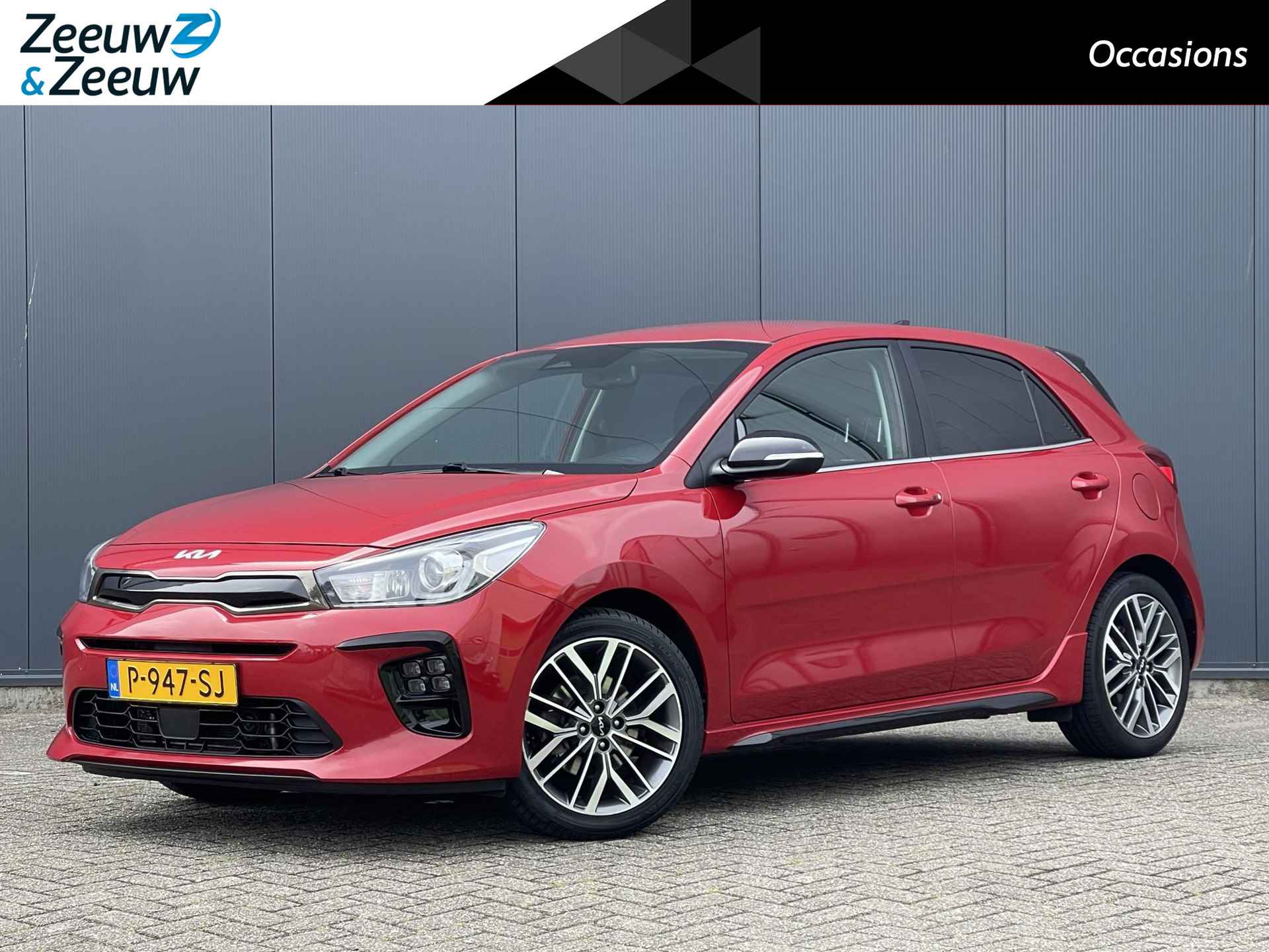 Kia Rio BOVAG 40-Puntencheck