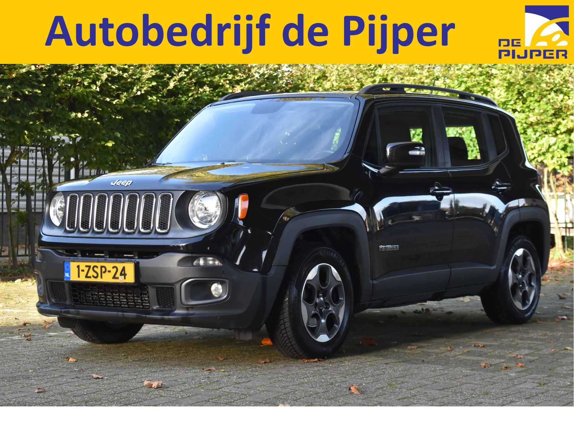 Jeep Renegade BOVAG 40-Puntencheck